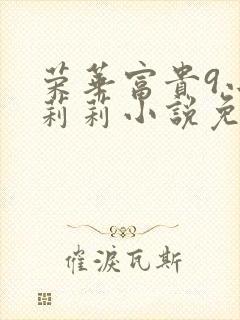 荣华富贵9小王莉莉小说免费阅读