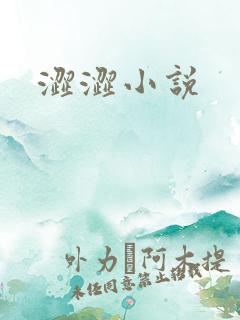 涩涩小说