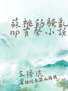 苏桃的骚乱文肉np有声小说