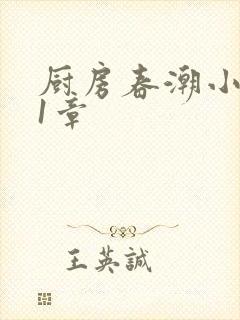 厨房春潮小说第1章