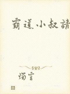 霸道小叔请轻撩