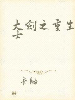 大剑之重生圣骑士