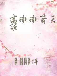 高微微萧天策小说