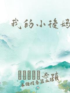 我的小后妈小说