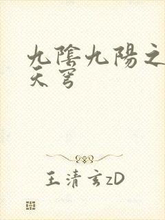 九阴九阳之武战天穹