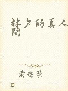 林夕的真人娃娃间