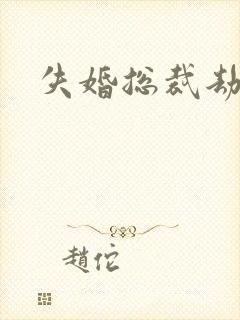 失婚总裁劫前妻