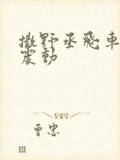 撒野丞飞车道具震动