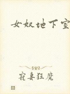 女奴地下室