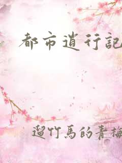 都市逍行记