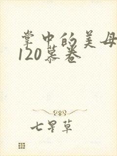 掌中的美母版主120慕卷