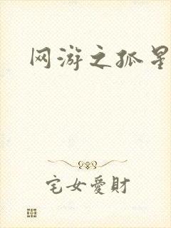 网游之孤星传说