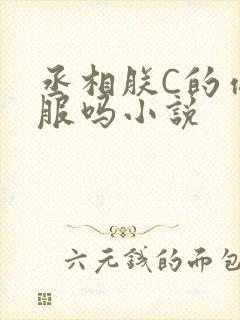 丞相朕C的你舒服吗小说
