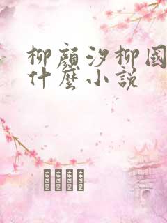 柳颜汐柳国安是什么小说