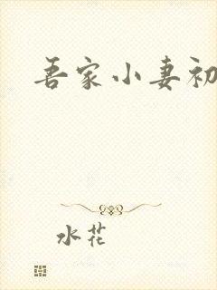 吾家小妻初养成