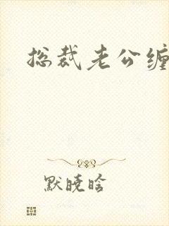 总裁老公缠上门