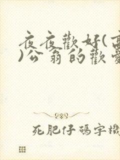 夜夜欢好(高h)公翁的欢爱