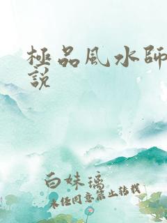 极品风水师 小说