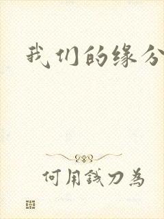 我们的缘分小说