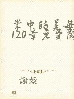掌中的美母版主120章免费阅读