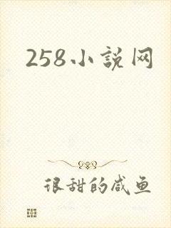 258小说网