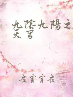 九阴九阳之武战天穹