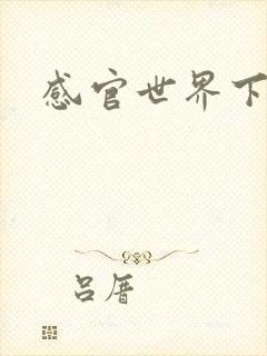 感官世界下载
