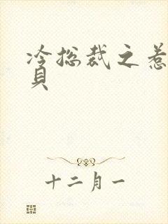 冷总裁之惹火宝贝