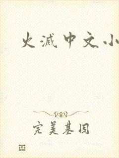 火灭中文小说