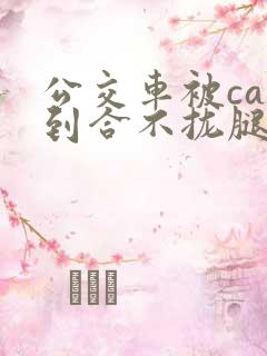 公交车被cao到合不拢腿app