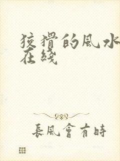 狡猾的风水相师在线