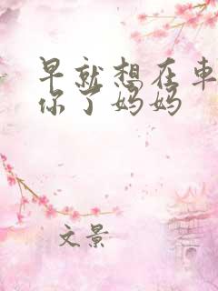 早就想在车里要你了妈妈