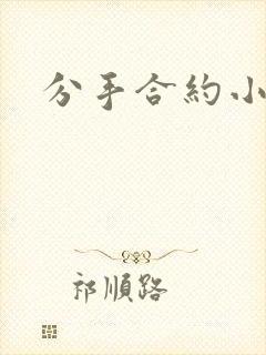 分手合约小说