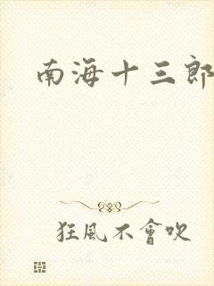 南海十三郎小说