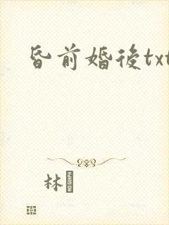 昏前婚后txt
