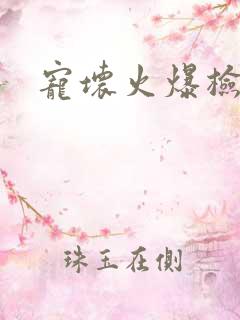 宠坏火爆检察官