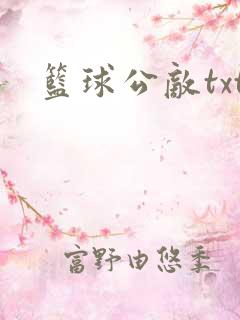 篮球公敌txt