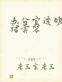 办公室透明半身裙套装