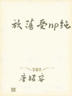 放荡受np纯肉