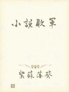 小说败军
