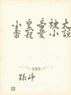 小皇帝被大臣轮番宠爱小说