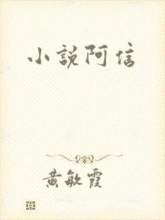 小说阿信