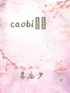 caobiС˵