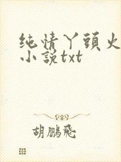 纯情丫头火辣辣小说txt