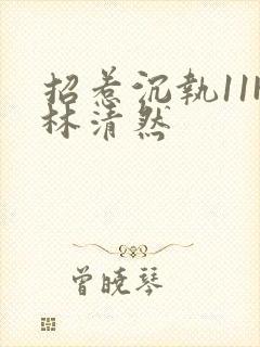 招惹沉执11H林清然