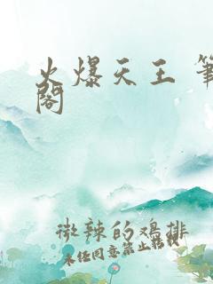火爆天王 笔趣阁