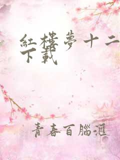 红楼梦十二金钗下载