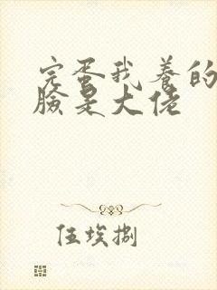 完蛋我养的小白脸是大佬