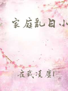 家庭乱日小说