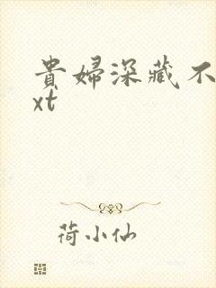 贵妇深藏不露txt